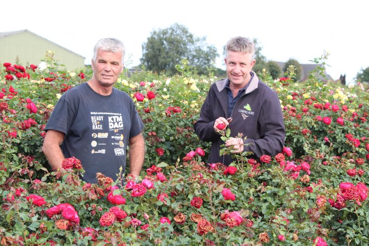 Twan Hendriks (links) en teeltadviseur Dirand van Wijk van Compas Agro maken aan het einde van het groeiseizoen de balans op.