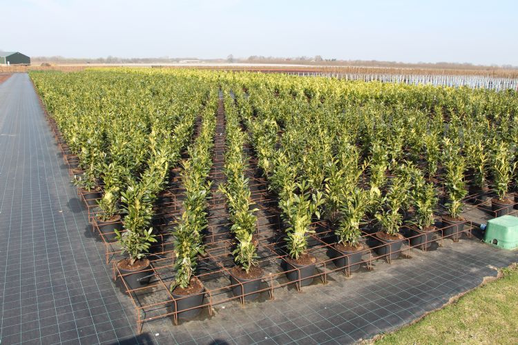 Misstanden moeten bij twee loketten gemeld worden