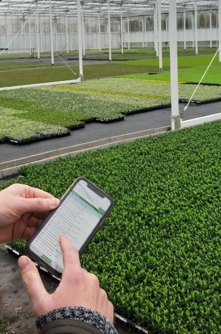 Wilbert van Luenen met de Vision Mobile app in de kas
