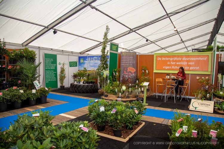  Foto: www.grootgroenplus.nl 