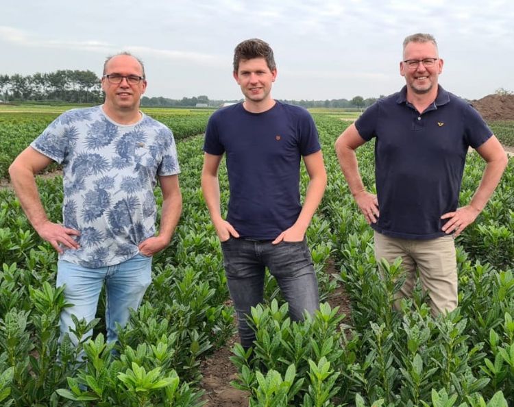 V.l.n.r. Loek Jochems, Evert Jansen, Henk Huijsman