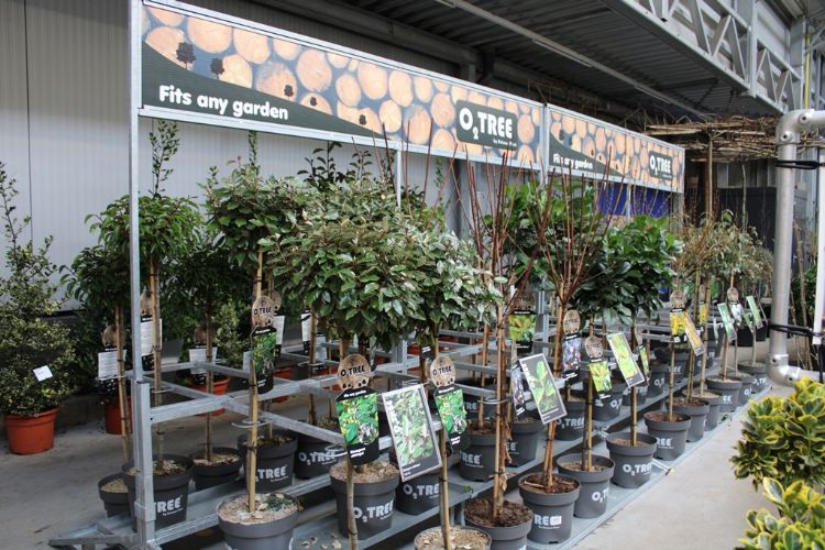 Bricks Big Tree, viermaal gepresenteerd