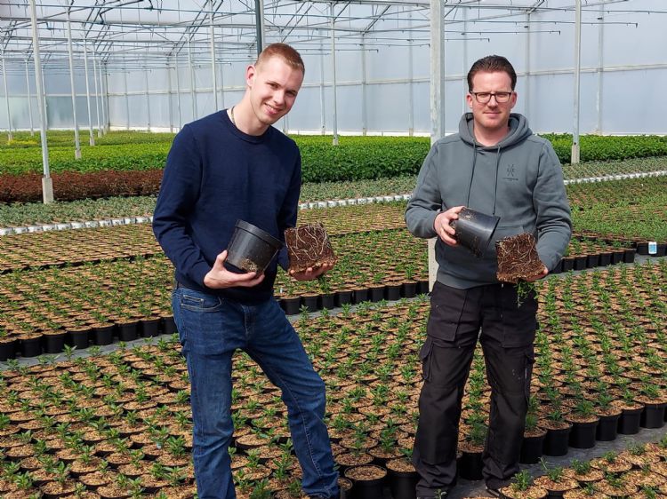 Bart Nelen (l.) en Jeroen van Oers in de kas bij Gerard Dekkers