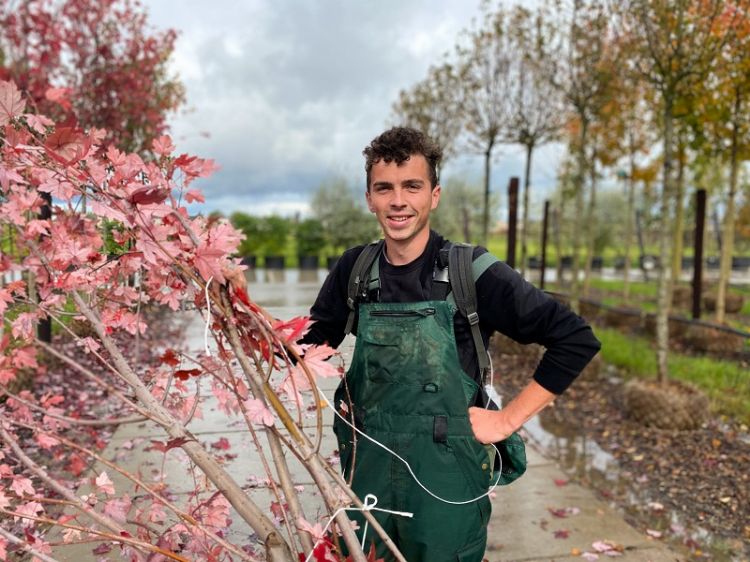 Daan Sukkel van Growera