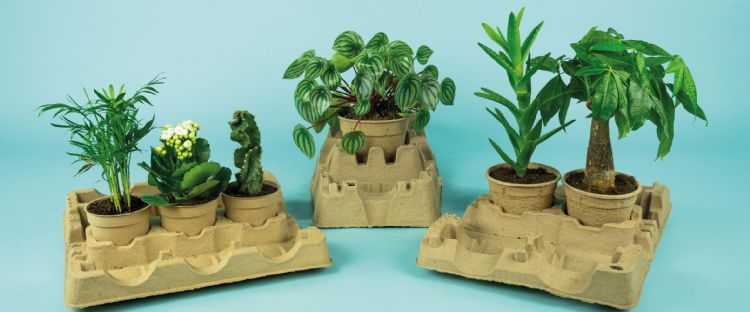 Productpresentatie Modiform online packaging, serie clampacks