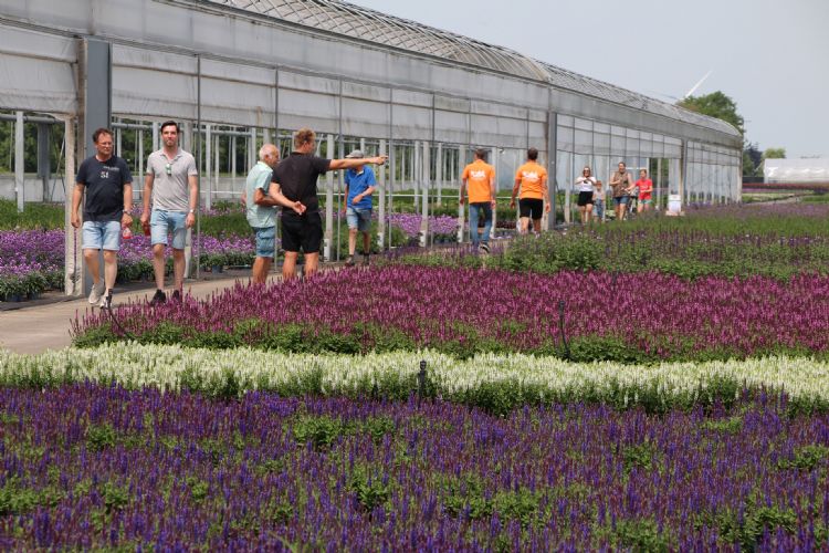 Open Kwekerijdag 2022