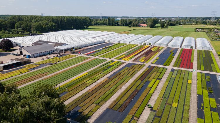 Bij Ergon Kwekerij werken mensen met een afstand tot de arbeidsmarkt.