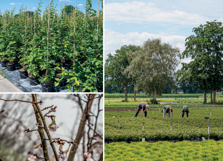 Illustraties uit het sectorrapport