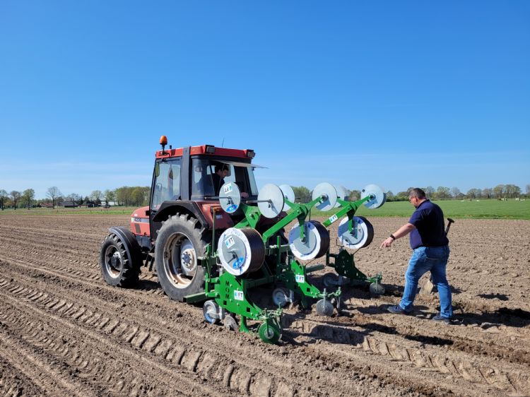 Druppelslangen worden aangelegd. Foto: Netafim
