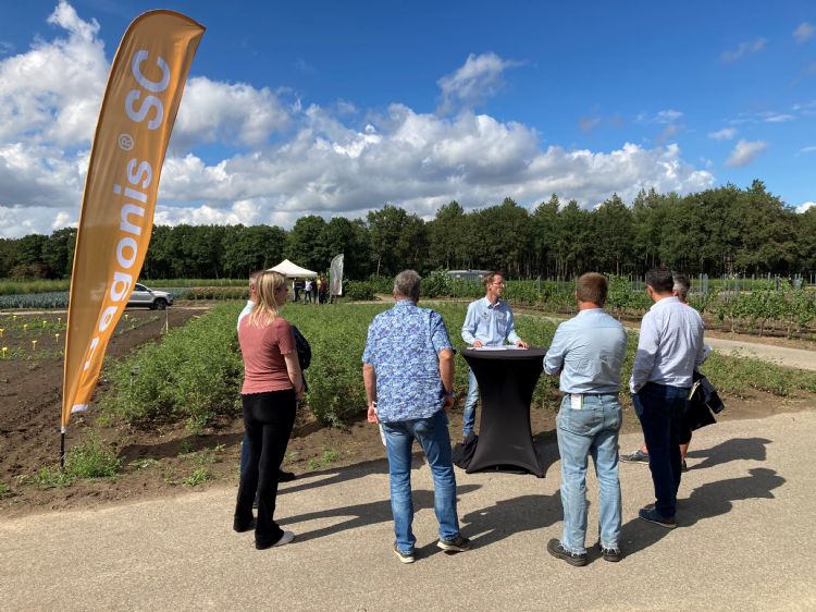 Adviseurs van Compas Agro geven uitleg over een aldaar uitgevoerde bestrijdingsproef tegen roest
