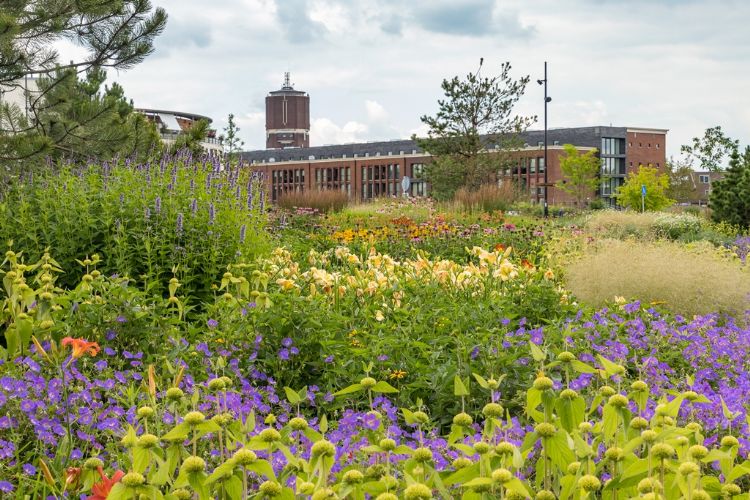 Het GreentoColour concept van Griffioen