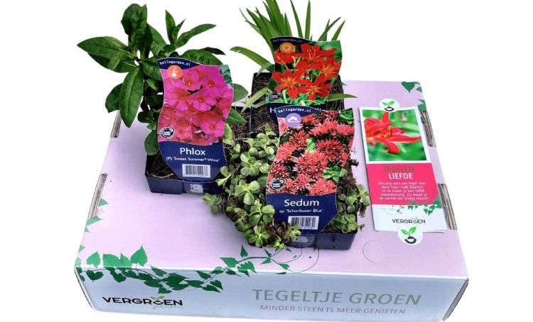 Het Tegeltje Groen-pakket