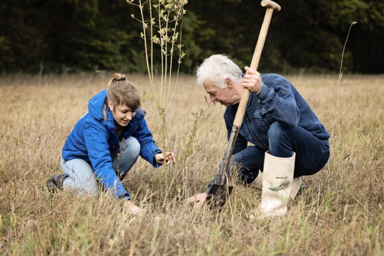 Bomen aanplanten op Green Friday, foto Trees for All