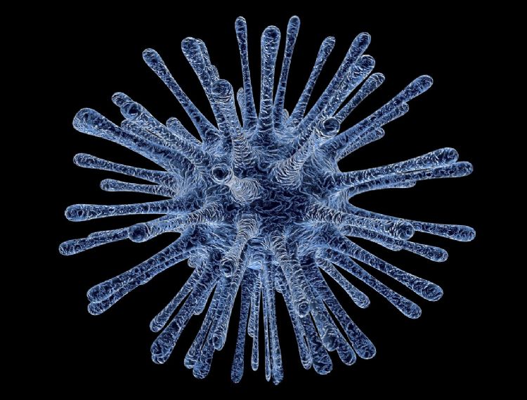 Afbeelding van een virus. Beeld: PublicDomainPictures, Pixabay