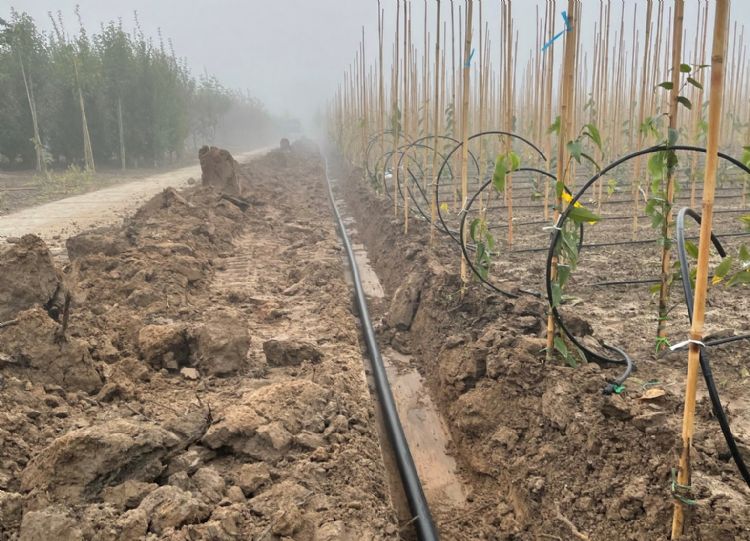 Aanleg druppelslangen door Aquafeed - archiefbeeld