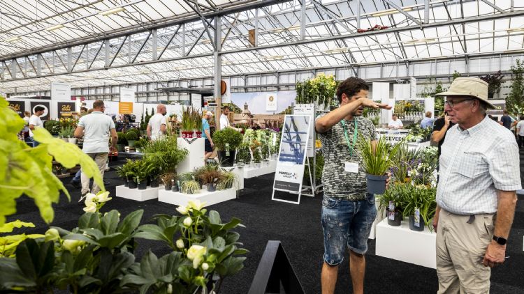 PlantariumGroen-Direkt najaarsbeurs 2022 ©Nils van Houts