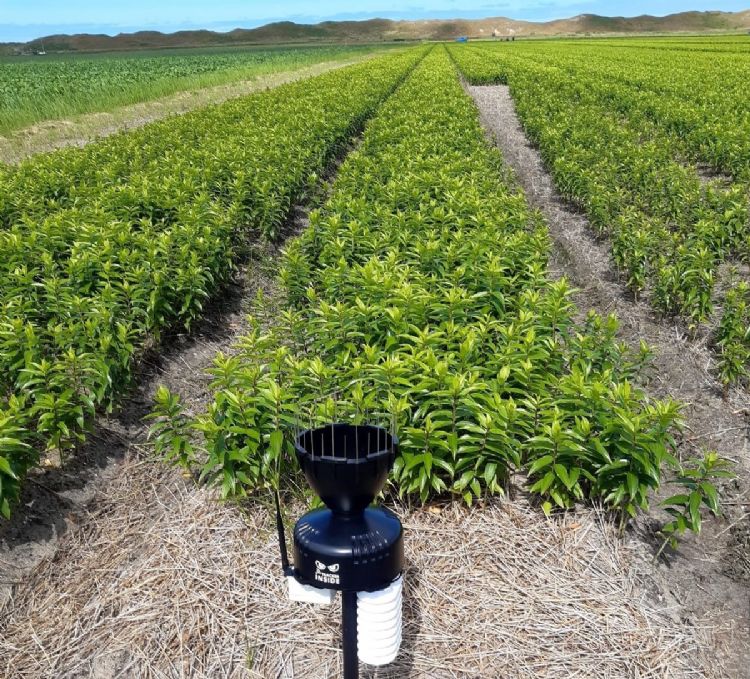 Proefperceel met weerstation van Sencrop