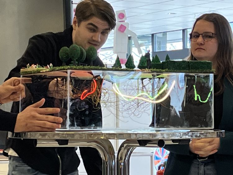 De kleuren van de verlichting geven de vitaliteit van de plantwortels weer