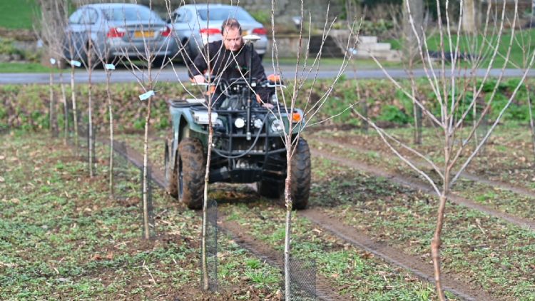 Demonstratie stamdiktemeter van AgroWizard