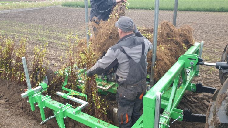 Plantmachine voor het inkuilen van gerooid bos- en haagplantsoen