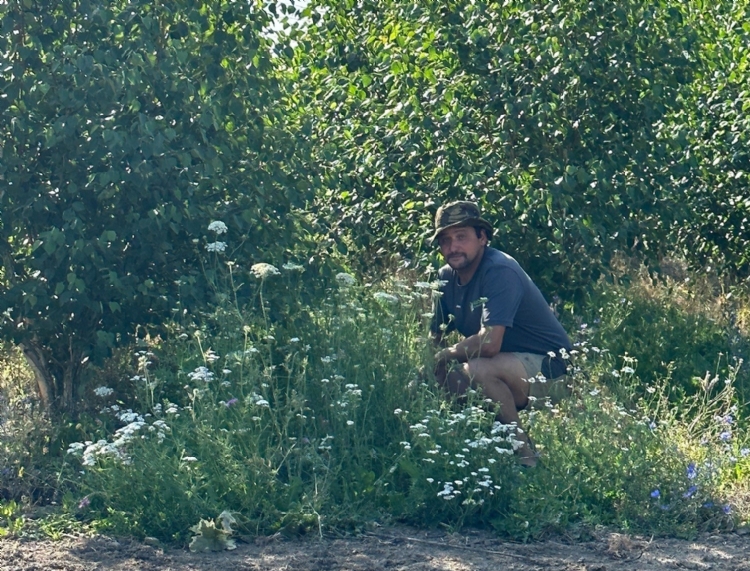 Jan Wennekes: 'Natuurinclusief telen is een jarenlange zoektocht.'