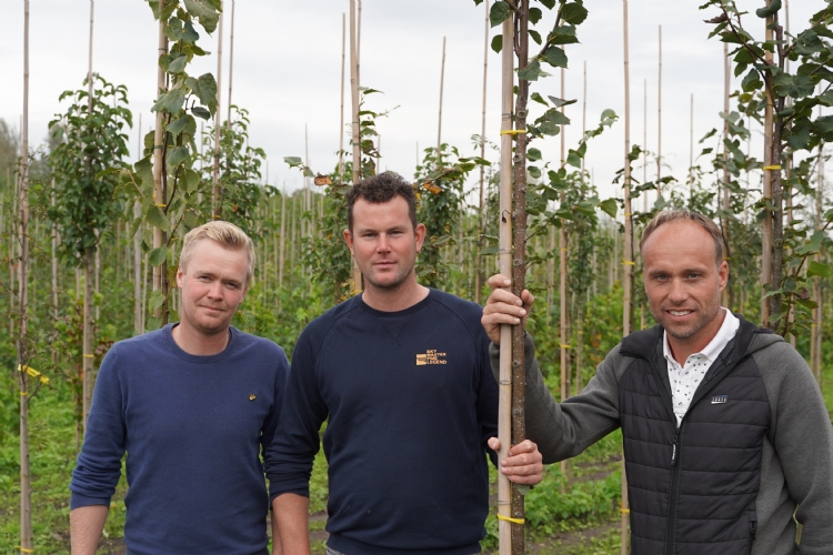Hidde van Dam, Arjen Hendriks en Jelle Eppinga