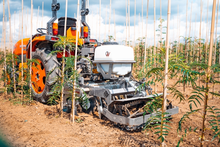 De Weed Profi-schoffelmachine
