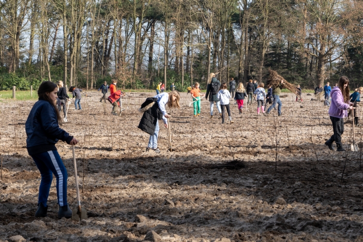 In 2022 werd het eerste deel van de zaadgaard aangeplant