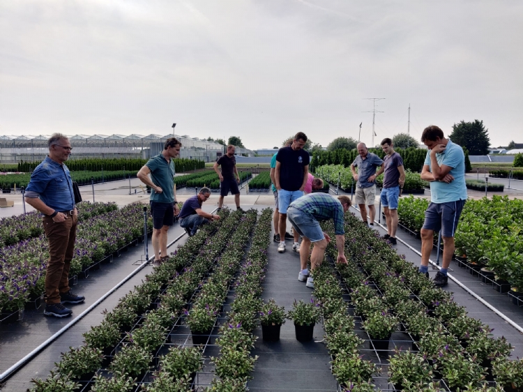 Addenda-kwekers beoordelen de planten aan het einde van de proefperiode
