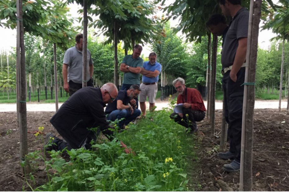 Evaluatie van een bloemenstrook (foto uit de brochure)