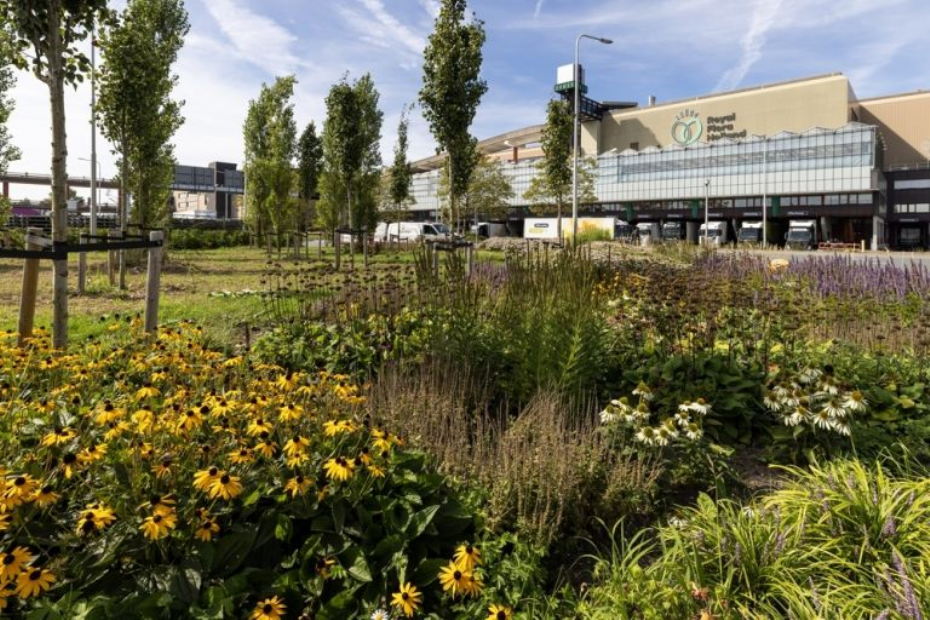 Biodiversiteit