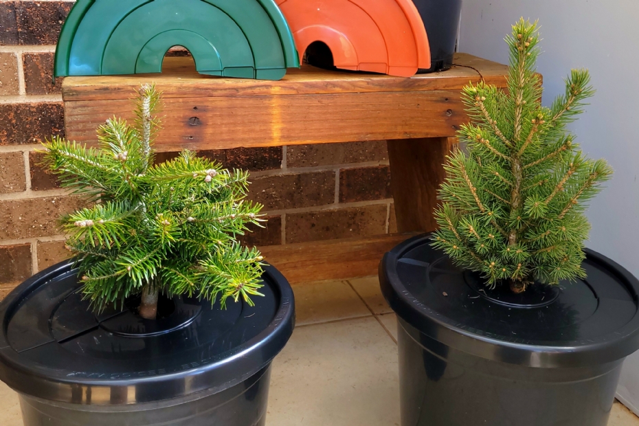 De PotHead sluit de plantenpot goed af en vangt water efficiënt op.