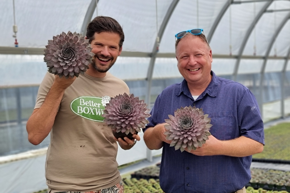 Peter van Rijssen (Plantipp) en veredelaar Garden Solutions met <i>Sempervivum</i> Chick Charms Giants Steel Appeal