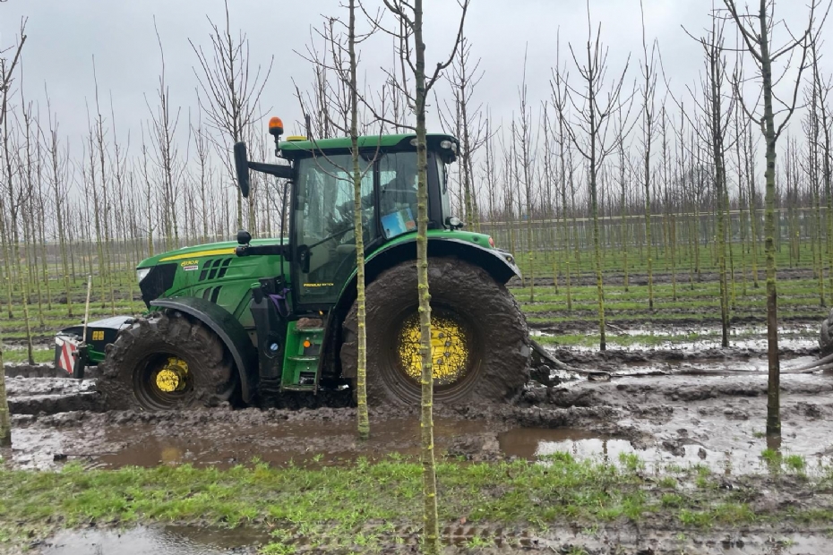 Met een roeiboot kun je geen bomen rooien