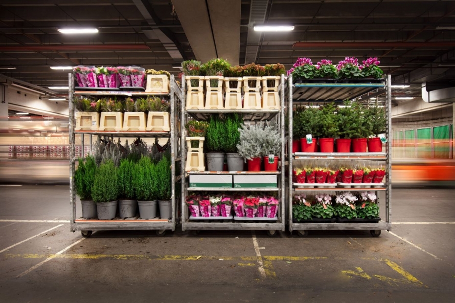 Foto: Royal Floraholland