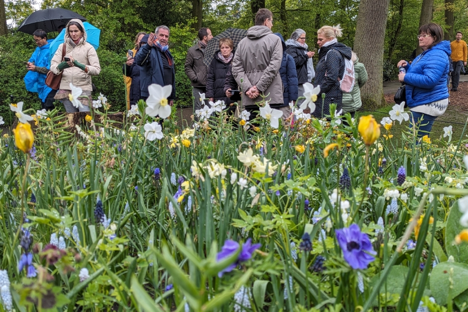 In de Keukenhof geeft Jos Beelen van JUB Holland uitleg over de beplanting van vaste planten en bloembollen 