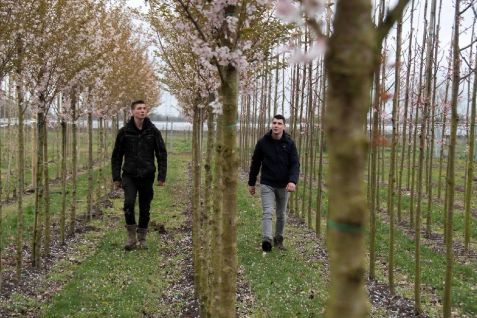 Luc en Jacco de Jong bij boomkwekerij E. de Jong. Foto: AJK Oosterhout