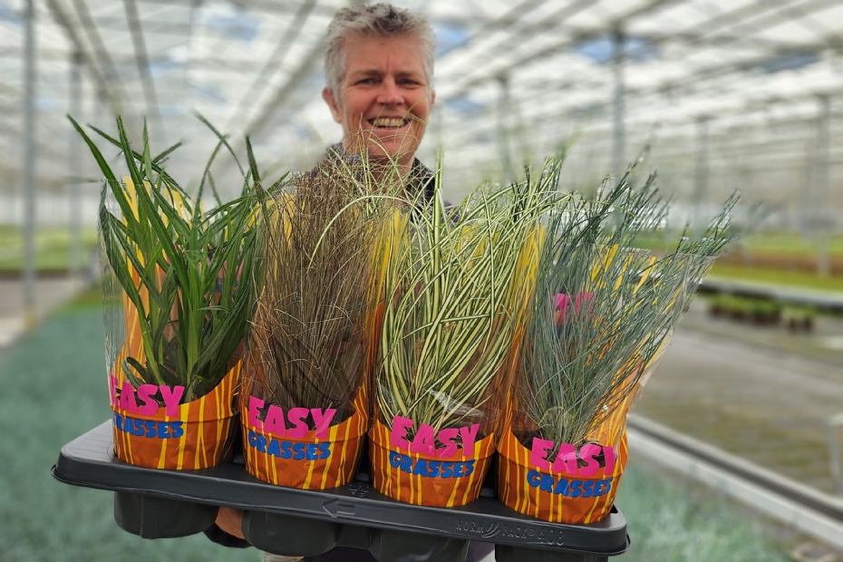 Annemarie Lips, foto: Allure Tuinplanten