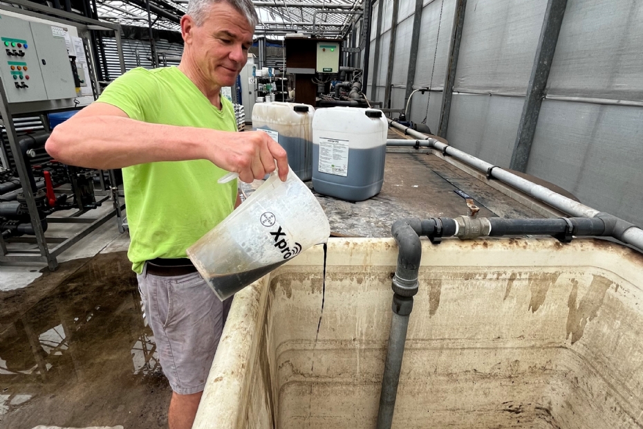 Adrian van Twuiver Adrian van Twuiver