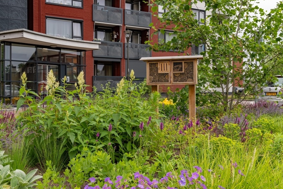 Op de voorgrond biologisch geteelde aanplant in de gemeente Horst aan de Maas, door Lageschaar Vaste Planten