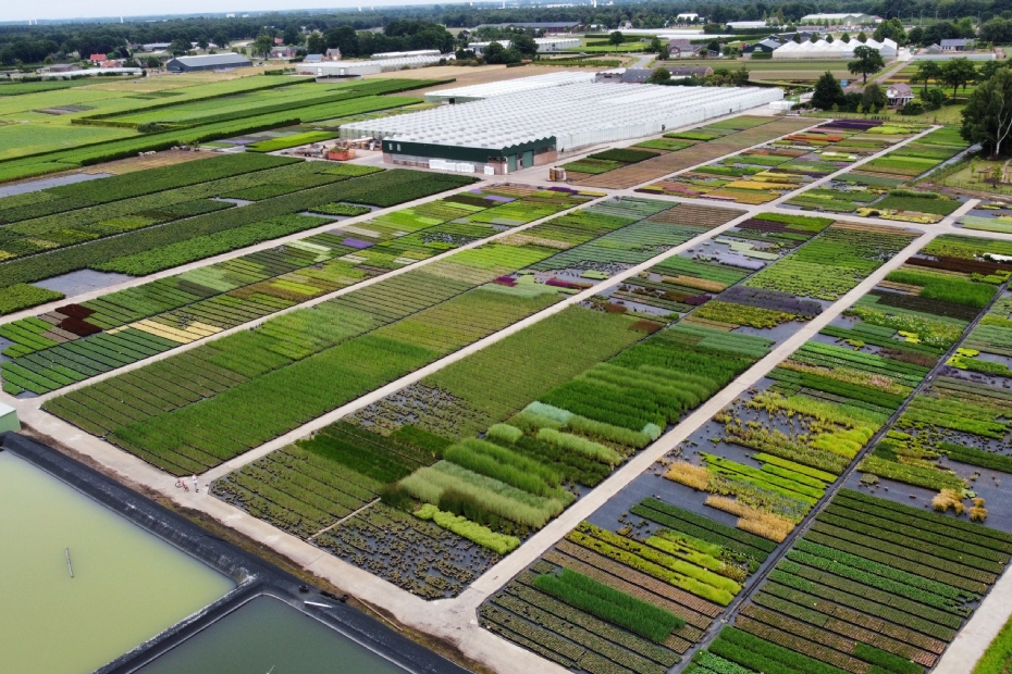 De containervelden van Green-One in vogelvlucht