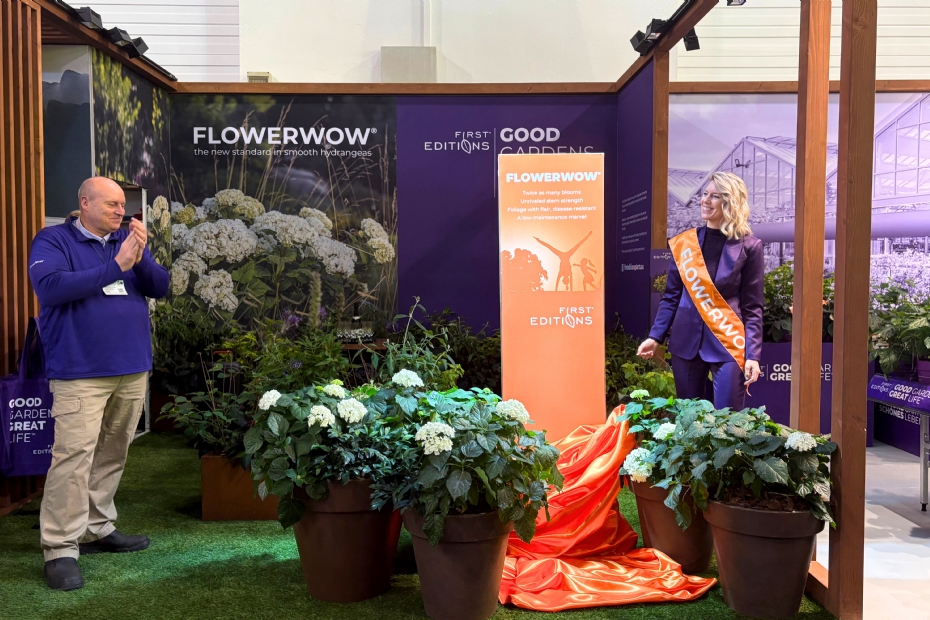 Feestelijke presentatie van FlowerWOW (Foto: @firsteditionsplants)