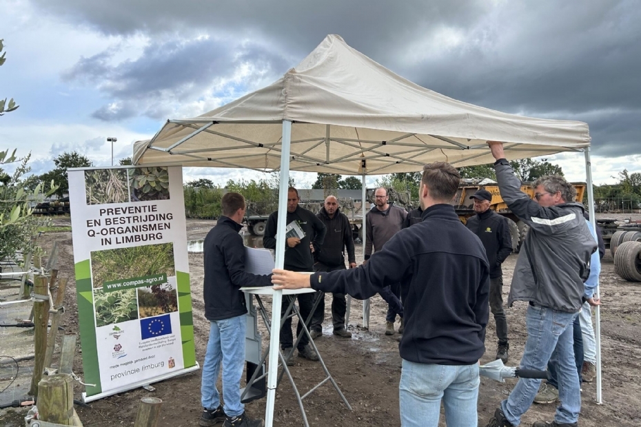 Innovatiedag in 2024 in Dongen, bij gastbedrijf Boomkwekerij E. de Jong. Foto: Compas Agro