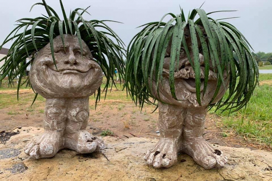 Mangave Mad about Mangave® 'Bad Hair Day' is droogtetolerant en kan tegen wat verwaarlozing