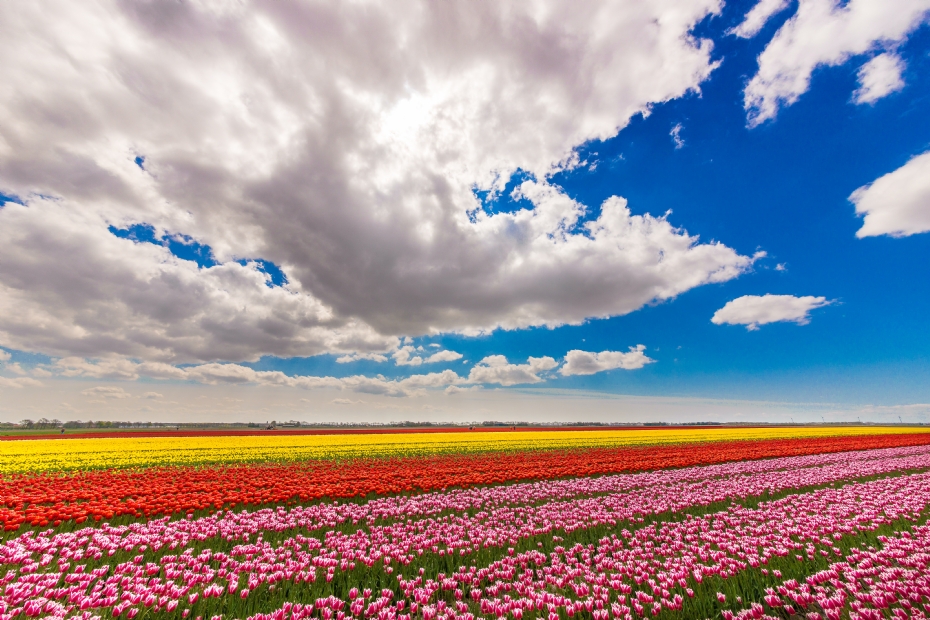 Archiefbeeld, foto: Freepik