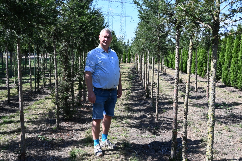 Frans van Wanrooij Frans van Wanrooij