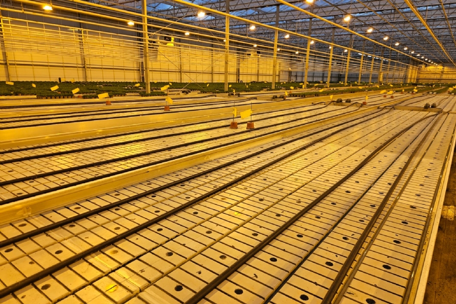 Schone tafels bij Ten Have Plant