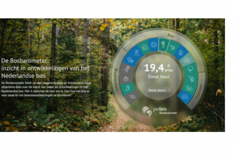 Beeld: Stichting Probos