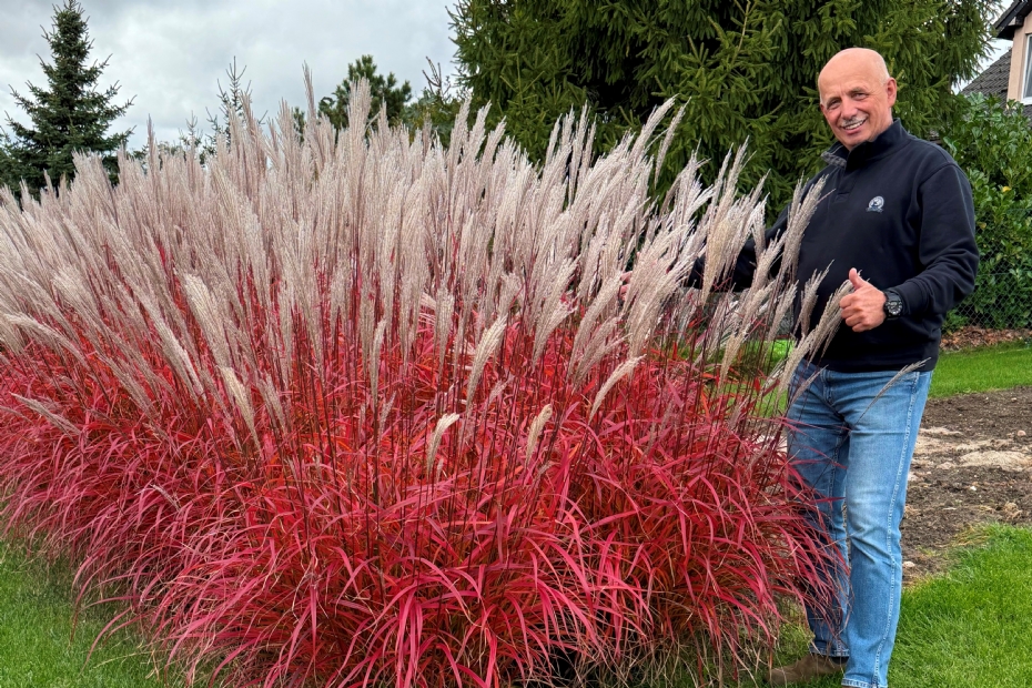 Krzysztof Słowiński laat 'Lady in Red' zien