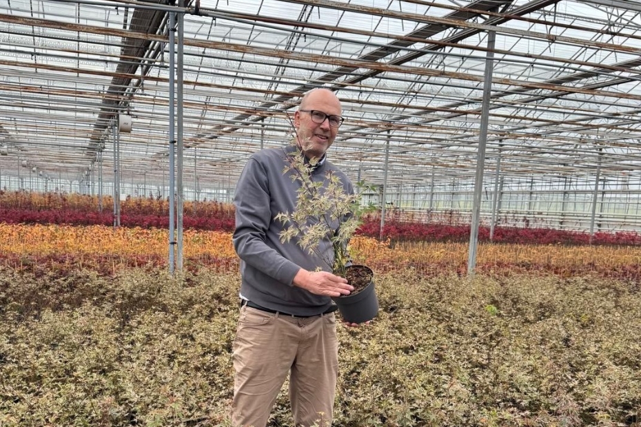 Feico van der Schaaf